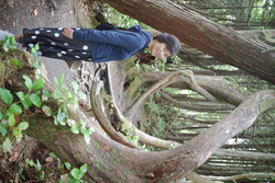 DSCF1021.JPG.JPG