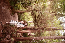 DSCF1031.JPG.JPG