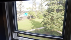 DSCF0389.JPG