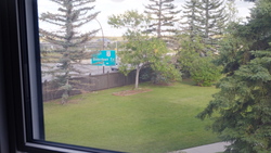 DSCF0395.JPG