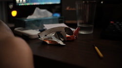DSCF0400.JPG