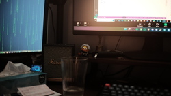 DSCF0402.JPG