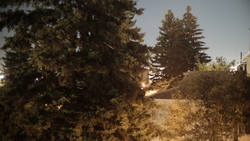 DSCF0410.JPG