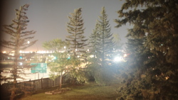 DSCF0411.JPG