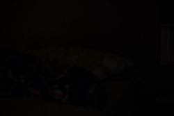 DSCF0439.JPG
