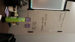 DSCF0643.JPG