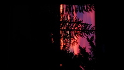 DSCF0662.JPG