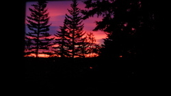 DSCF0663.JPG