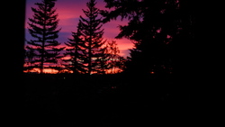 DSCF0664.JPG