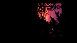 DSCF0665.JPG