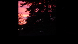 DSCF0668.JPG