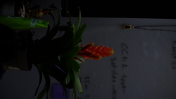 DSCF0673.JPG