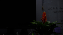 DSCF0674.JPG