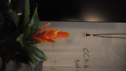 DSCF0717.JPG