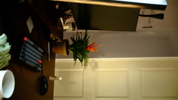 DSCF0734.JPG