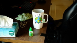DSCF0737.JPG