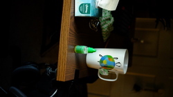 DSCF0738.JPG