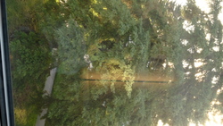 DSCF0740.JPG