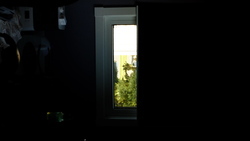 DSCF0741.JPG