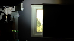 DSCF0742.JPG