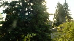 DSCF0743.JPG