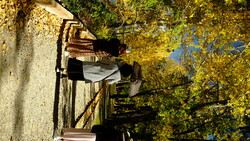 DSCF0747.JPG