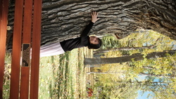 DSCF0786.JPG