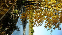 DSCF0799.JPG