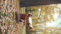 DSCF0910.JPG