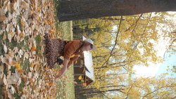 DSCF0911.JPG