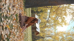 DSCF0915.JPG
