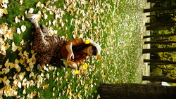 DSCF0918.JPG