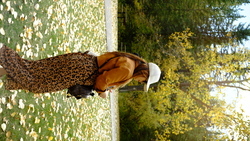 DSCF0949.JPG