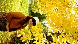 DSCF1082.JPG
