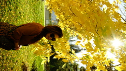 DSCF1092.JPG