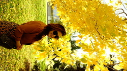 DSCF1093.JPG