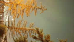DSCF1182.JPG