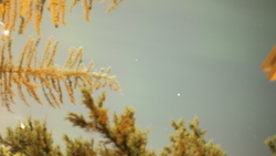 DSCF1183.JPG
