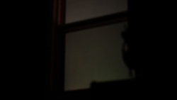 DSCF1190.JPG