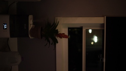 DSCF1200.JPG