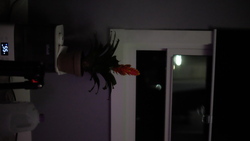 DSCF1207.JPG