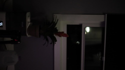 DSCF1208.JPG
