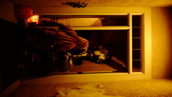 DSCF1482.JPG