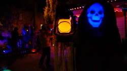 DSCF1528.JPG