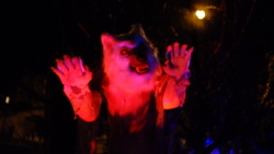 DSCF1543.JPG