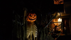 DSCF1552.JPG