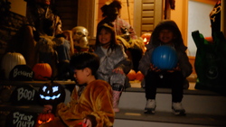 DSCF1555.JPG