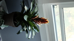 DSCF1562.JPG