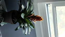 DSCF1563.JPG