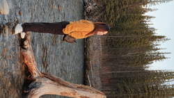 DSCF1580.JPG